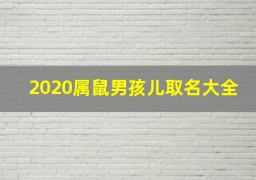 2020属鼠男孩儿取名大全