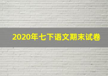 2020年七下语文期末试卷