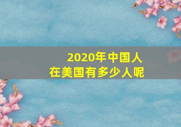 2020年中国人在美国有多少人呢