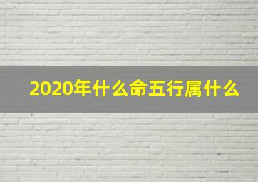 2020年什么命五行属什么