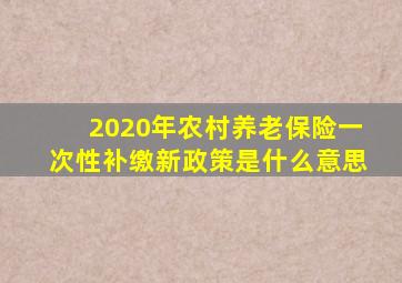 2020年农村养老保险一次性补缴新政策是什么意思