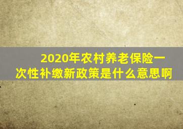 2020年农村养老保险一次性补缴新政策是什么意思啊