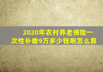 2020年农村养老保险一次性补缴9万多少钱啊怎么算