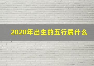 2020年出生的五行属什么