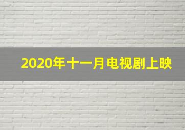 2020年十一月电视剧上映