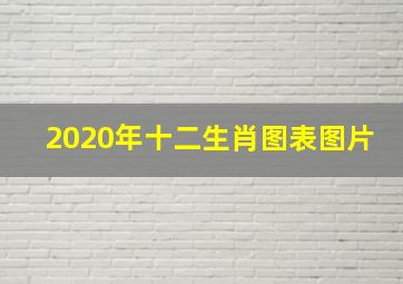 2020年十二生肖图表图片