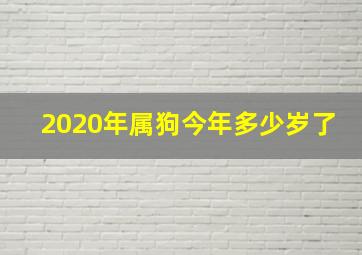 2020年属狗今年多少岁了