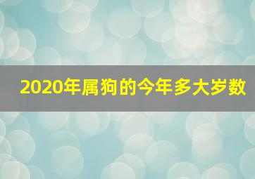 2020年属狗的今年多大岁数