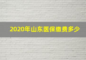 2020年山东医保缴费多少