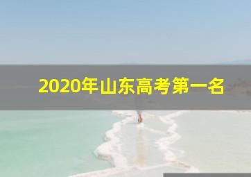 2020年山东高考第一名