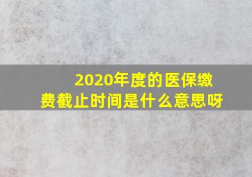 2020年度的医保缴费截止时间是什么意思呀