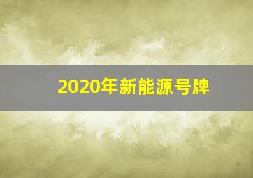 2020年新能源号牌