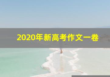 2020年新高考作文一卷