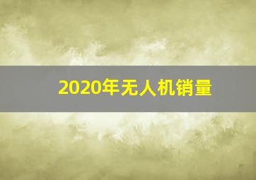 2020年无人机销量