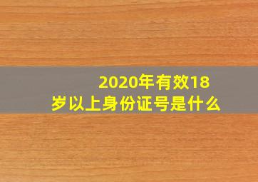 2020年有效18岁以上身份证号是什么