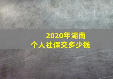 2020年湖南个人社保交多少钱