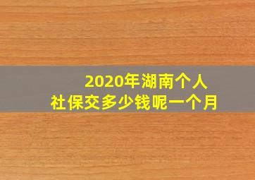 2020年湖南个人社保交多少钱呢一个月