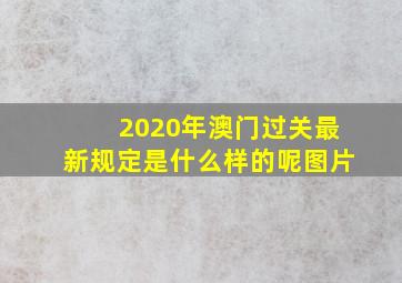 2020年澳门过关最新规定是什么样的呢图片