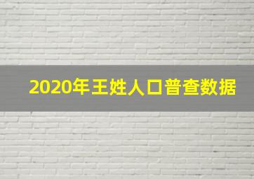 2020年王姓人口普查数据