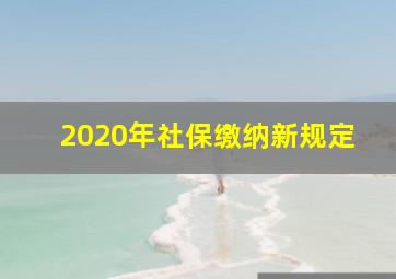 2020年社保缴纳新规定