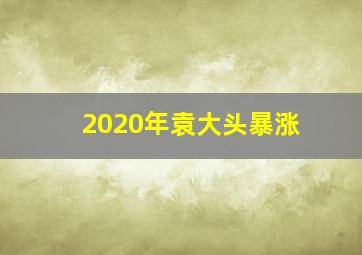 2020年袁大头暴涨