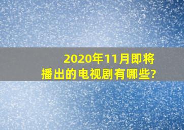 2020年11月即将播出的电视剧有哪些?