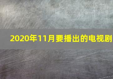 2020年11月要播出的电视剧