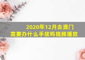 2020年12月去澳门需要办什么手续吗视频播放