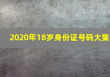 2020年18岁身份证号码大集