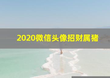 2020微信头像招财属猪