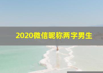 2020微信昵称两字男生