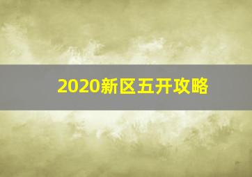 2020新区五开攻略