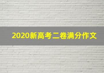 2020新高考二卷满分作文