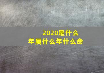 2020是什么年属什么年什么命