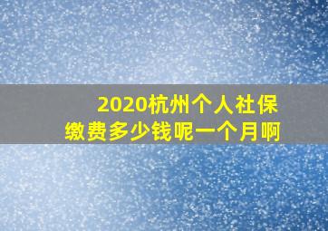 2020杭州个人社保缴费多少钱呢一个月啊