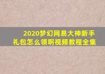 2020梦幻网易大神新手礼包怎么领啊视频教程全集