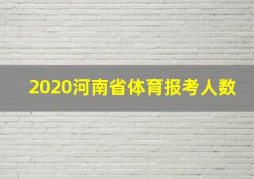 2020河南省体育报考人数