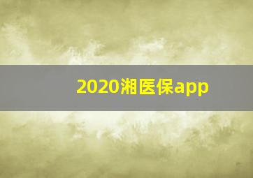 2020湘医保app