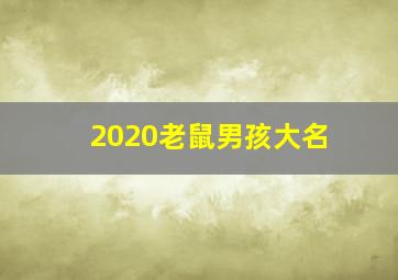 2020老鼠男孩大名