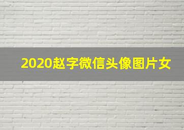 2020赵字微信头像图片女