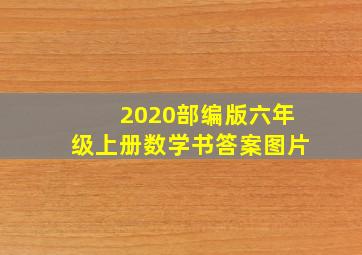 2020部编版六年级上册数学书答案图片