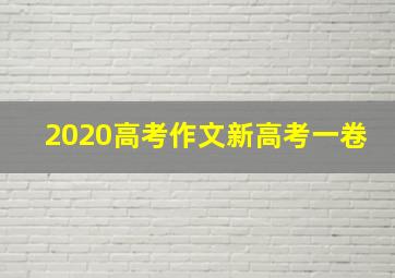 2020高考作文新高考一卷