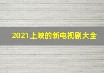 2021上映的新电视剧大全