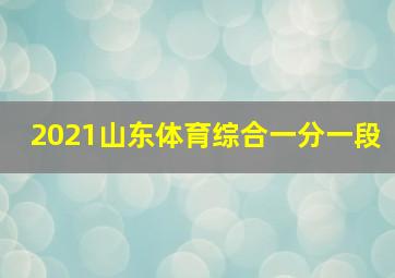 2021山东体育综合一分一段