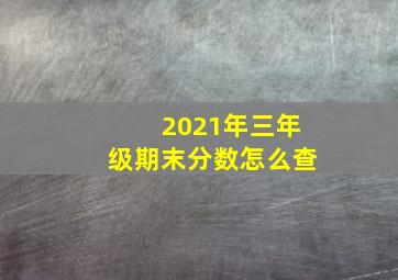 2021年三年级期末分数怎么查