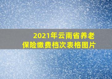 2021年云南省养老保险缴费档次表格图片