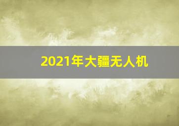 2021年大疆无人机