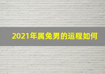 2021年属兔男的运程如何