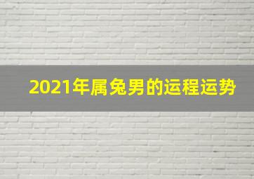 2021年属兔男的运程运势