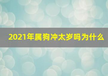 2021年属狗冲太岁吗为什么